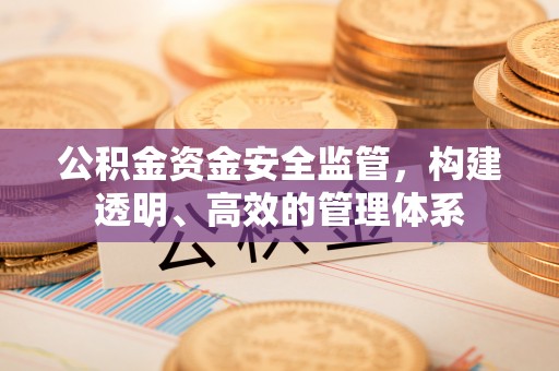 梁园公积金资金安全监管，构建透明、高效的管理体系