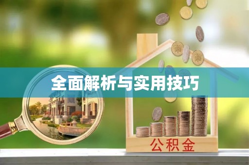 梁园全面解析与实用技巧